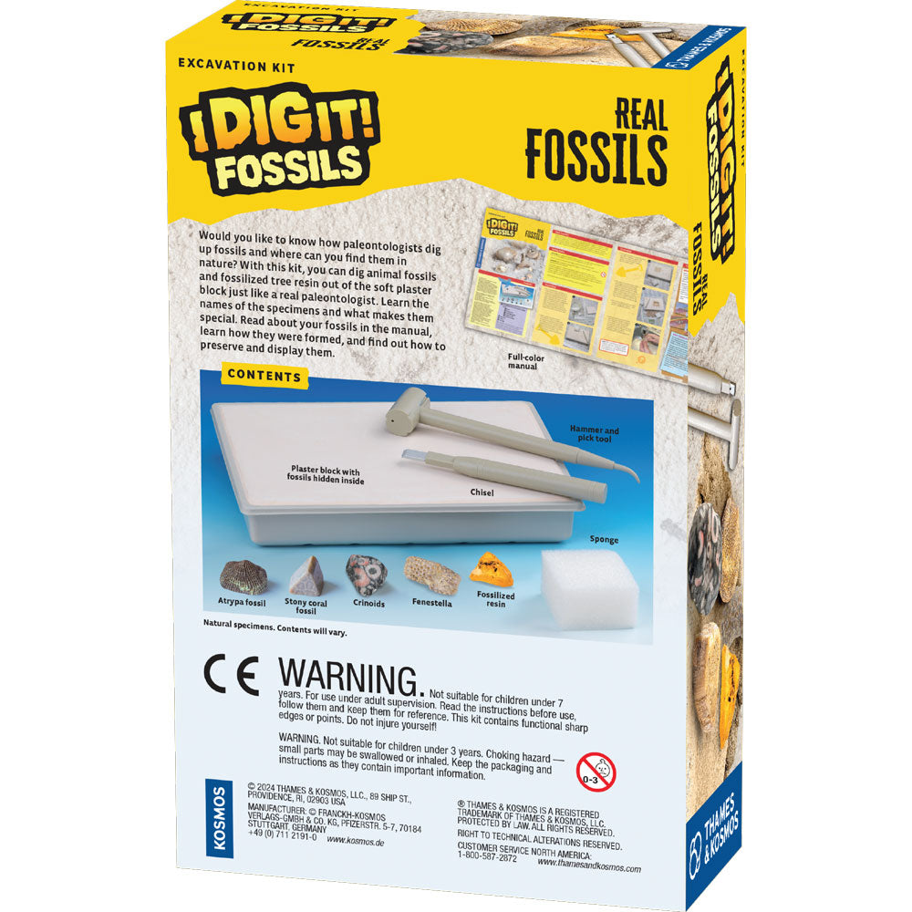 I Dig It! Fossils - Real Fossils Excavation Kit STEM Thames & Kosmos
