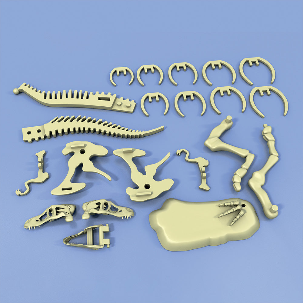 Giant Dinosaur Skeleton Kit STEM Thames & Kosmos   