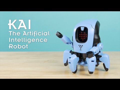 KAI: The Artificial Intelligence Robot STEM Thames & Kosmos