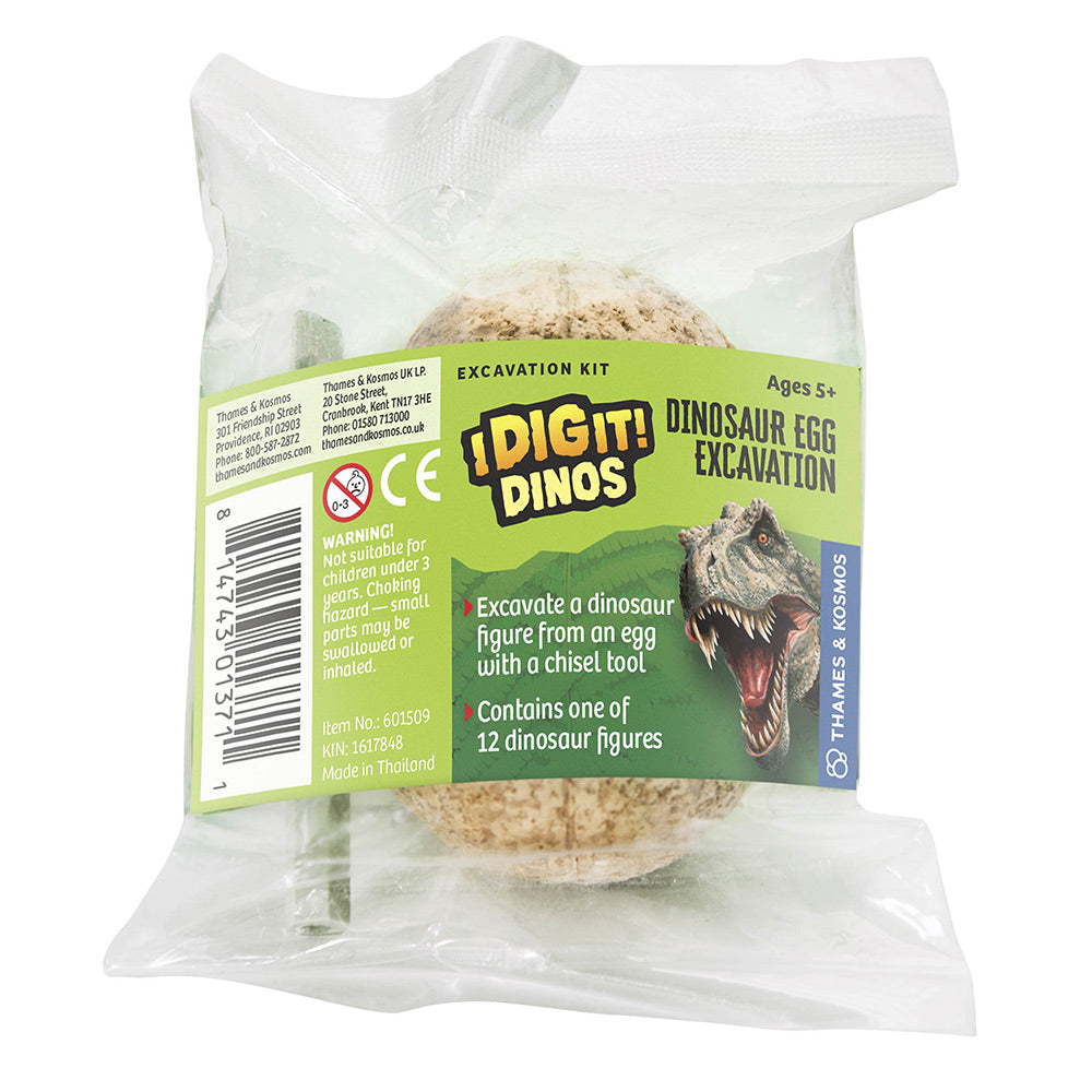 I Dig it Dinos! - Dino Egg (packed in 24 unit Display) STEM Thames & Kosmos   
