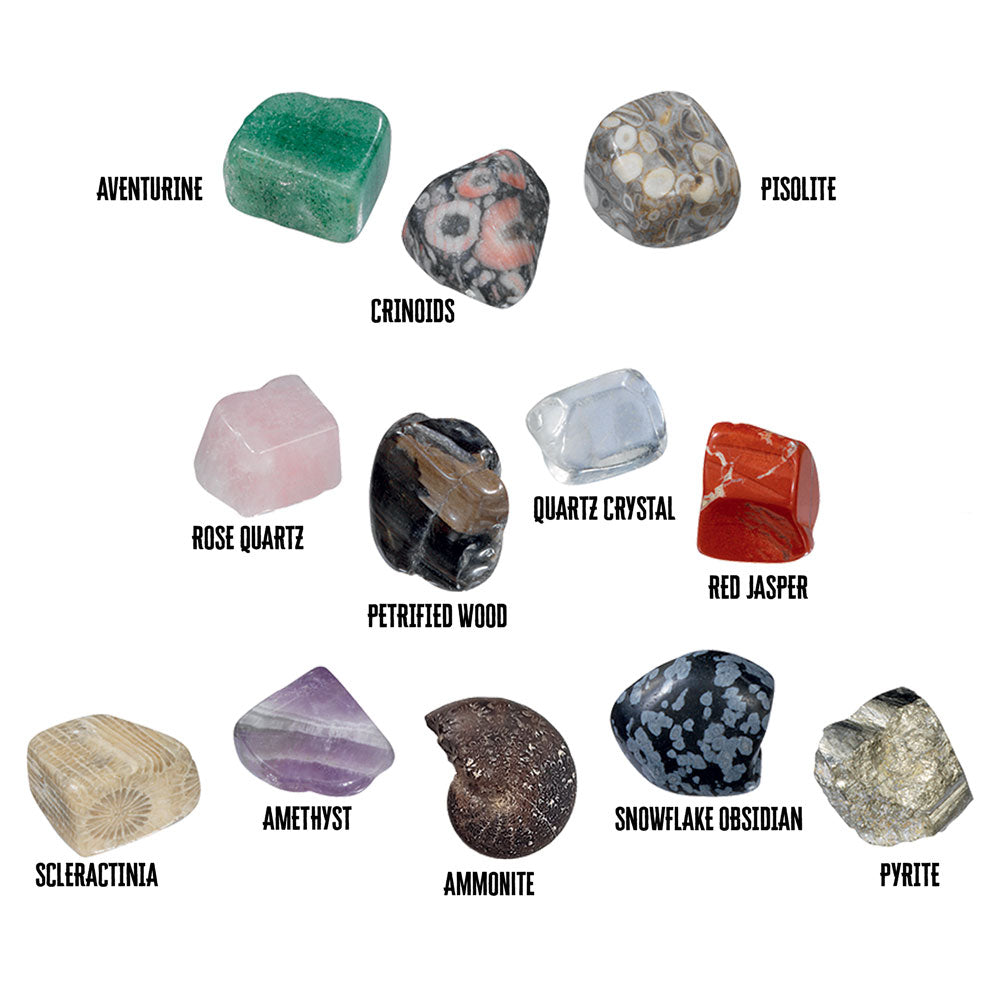 I Dig It! Rocks & Fossils - 24 Mini Excavation Gift Set - 2L STEM Thames & Kosmos   